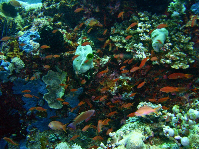 RIMG5342