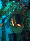 RIMG5292
