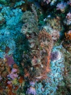 RIMG5346