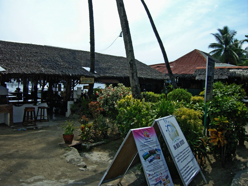 RIMG5386