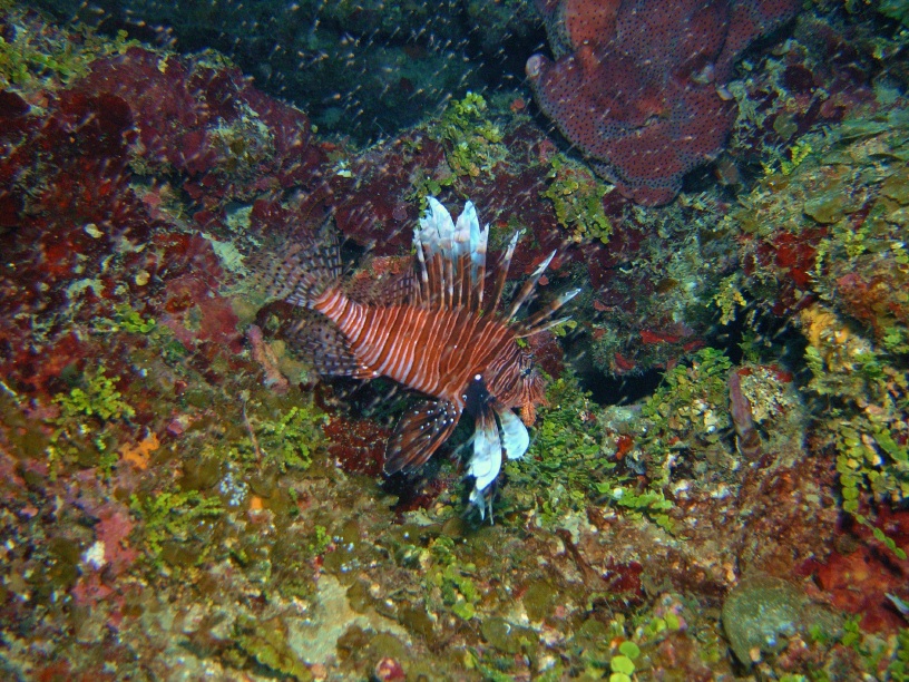RIMG3413