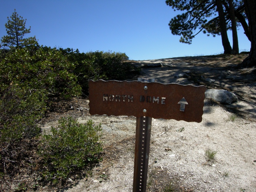 RIMG3223